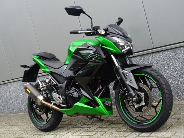 kawasaki - z-300