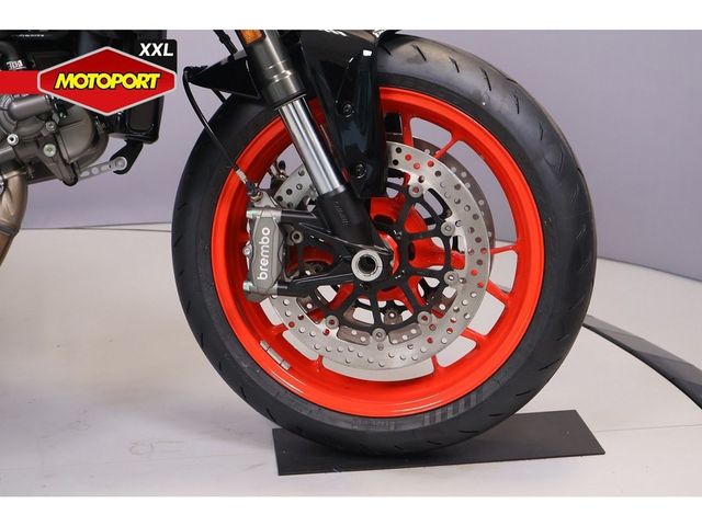 ducati - monster