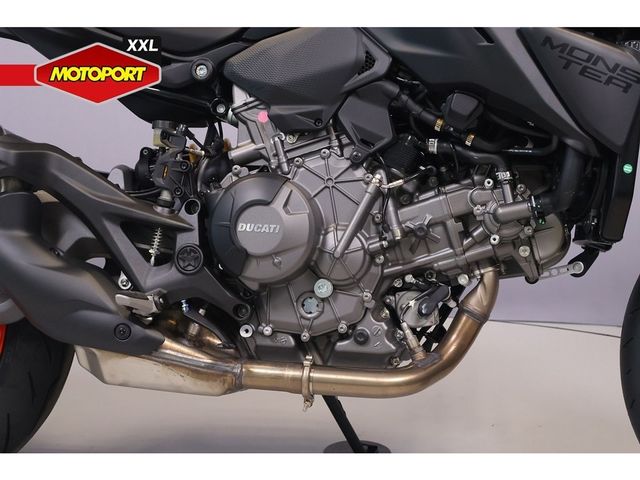 ducati - monster