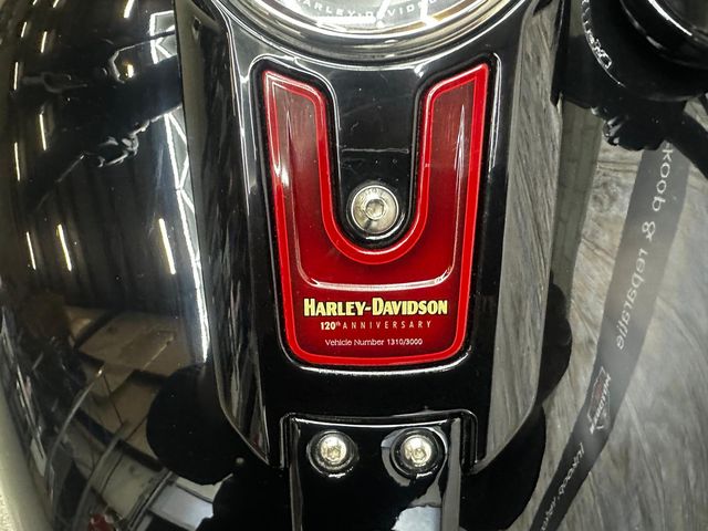harley-davidson - fat-boy-114