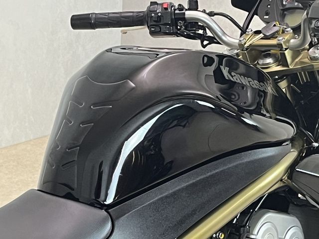 kawasaki - er-6-n