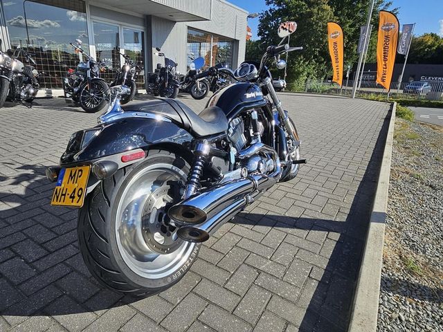 harley-davidson - v-rod-vrscb