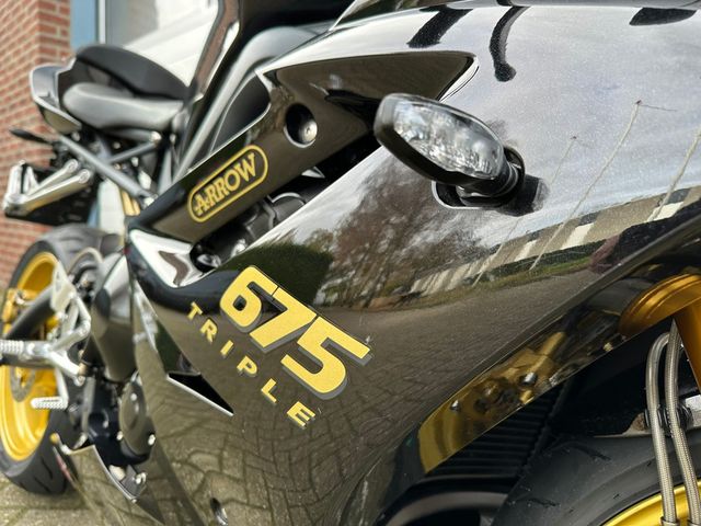 triumph - daytona-675-se