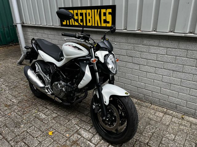 suzuki - gladius