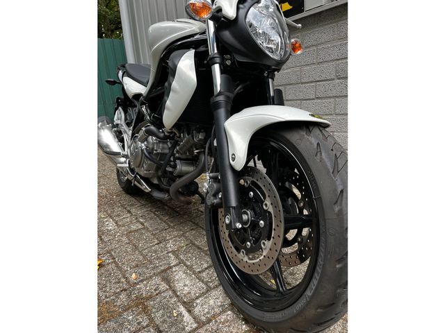 suzuki - gladius