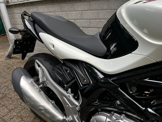 suzuki - gladius
