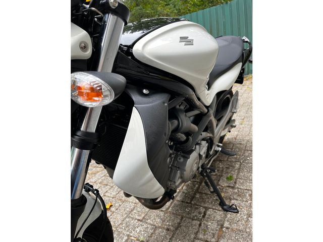 suzuki - gladius