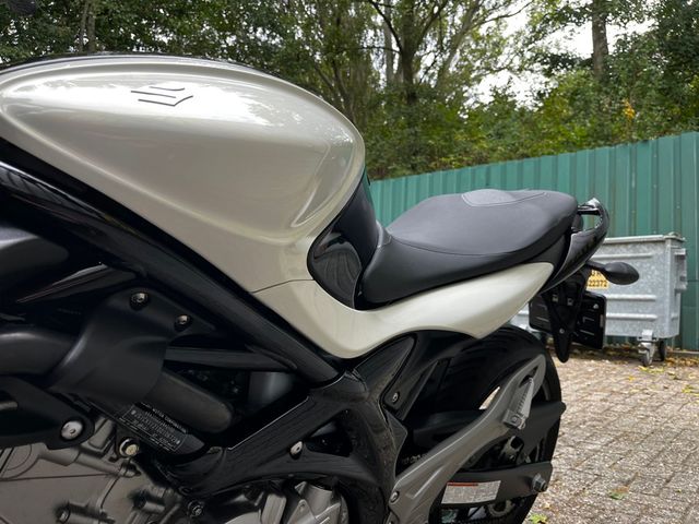 suzuki - gladius