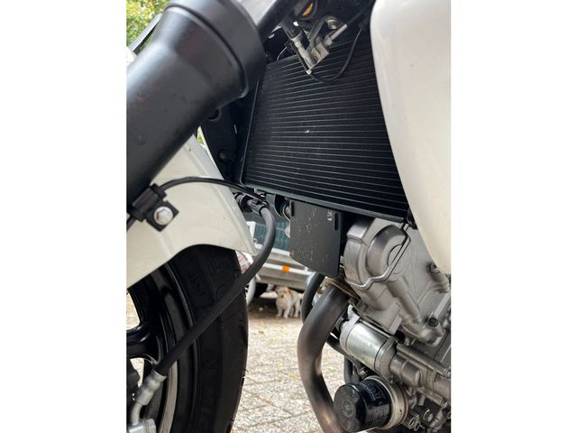 suzuki - gladius