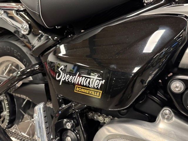 triumph - speedmaster