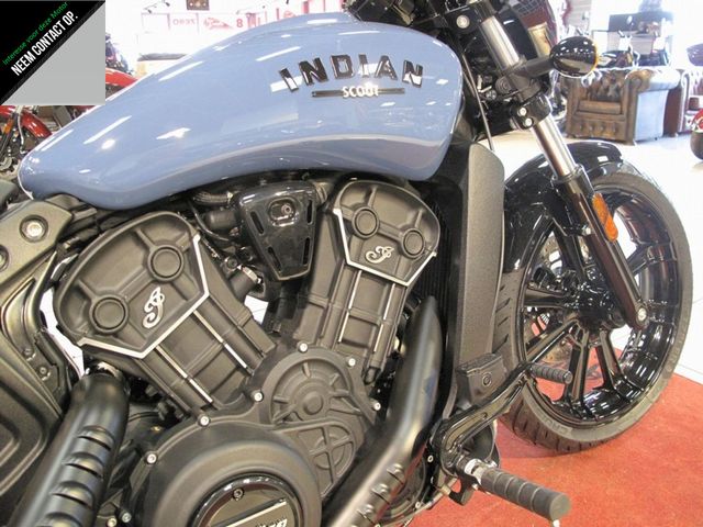 indian - scout-rogue