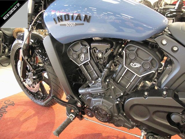 indian - scout-rogue