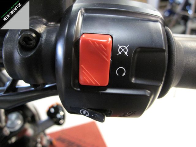 indian - scout-rogue