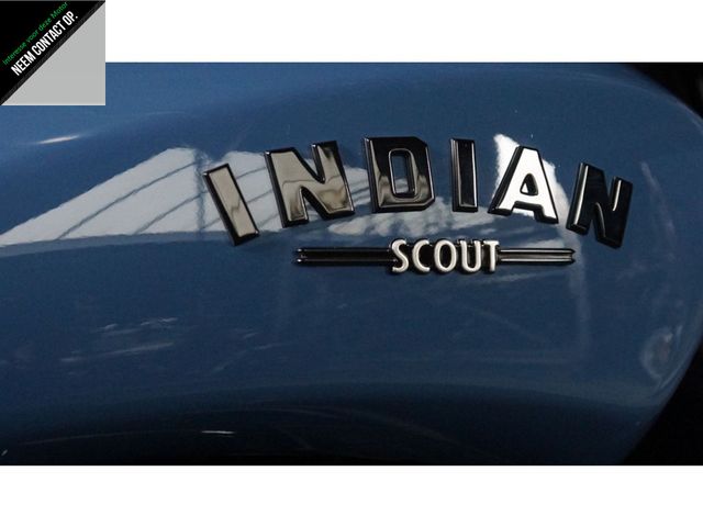 indian - scout-rogue