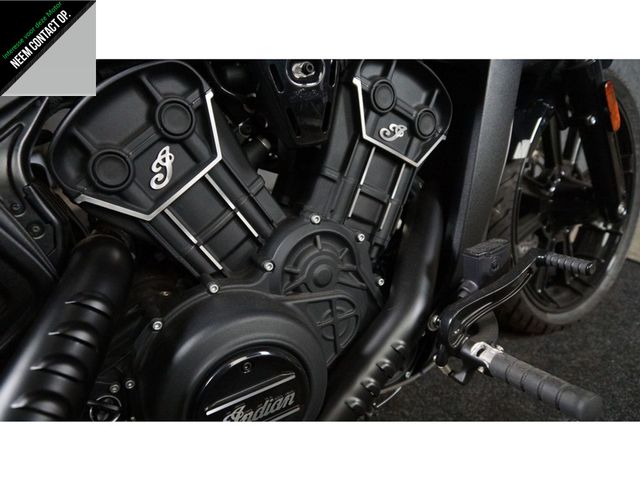 indian - scout-rogue