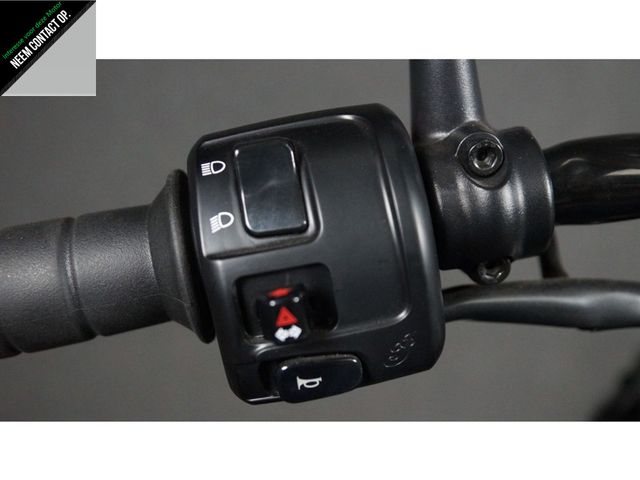 indian - scout-rogue