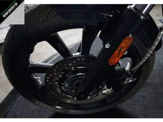 indian - scout-rogue