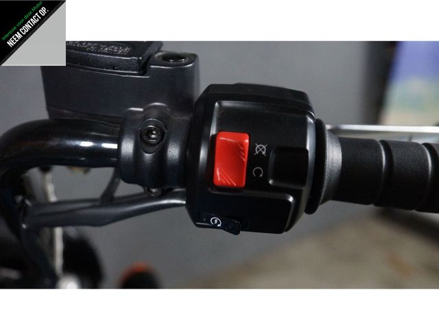 indian - scout-rogue