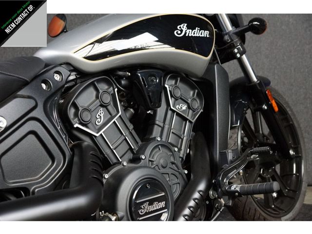 indian - scout-rogue