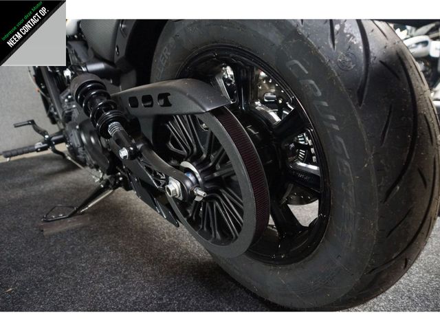 indian - scout-rogue