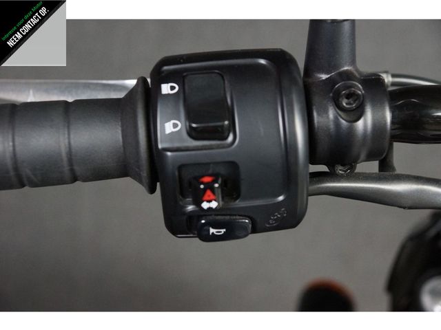 indian - scout-rogue