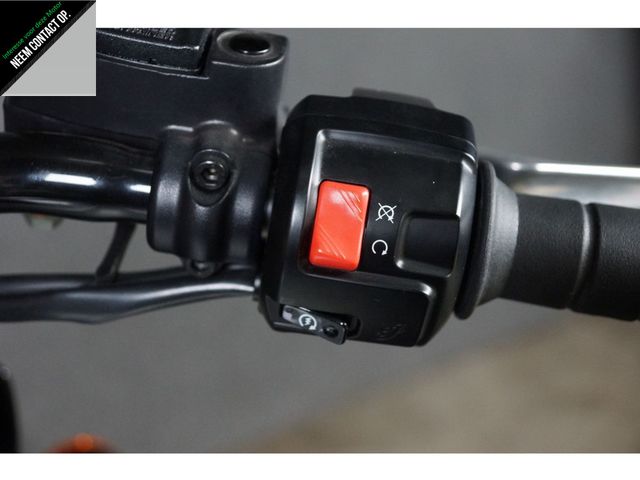 indian - scout-rogue