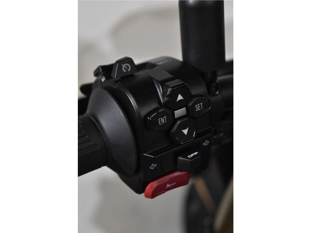 QJMOTOR - srk-800-rr