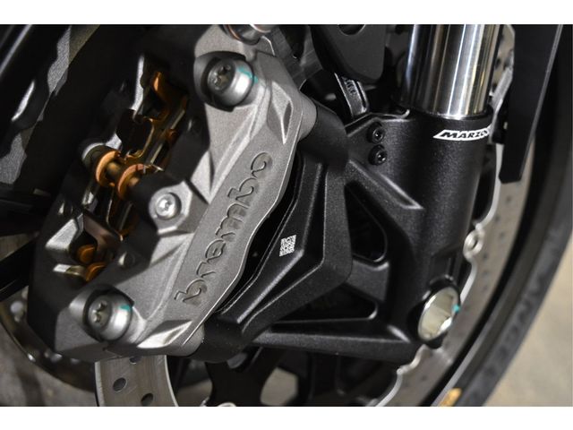 QJMOTOR - srk-800-rr