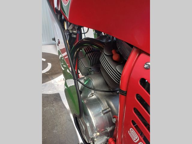 ducati - mike-hailwood-replica