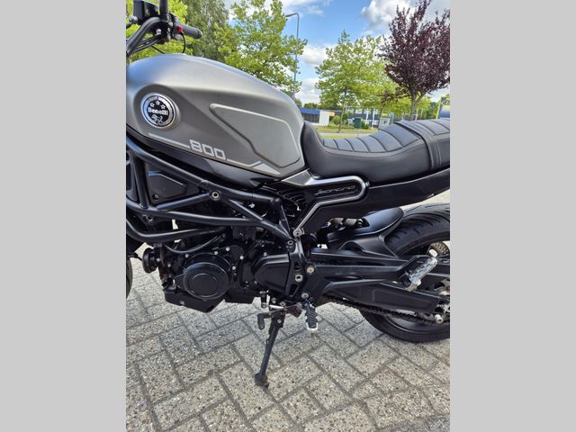 benelli - leoncino-800