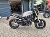 BENELLI LEONCINO 800