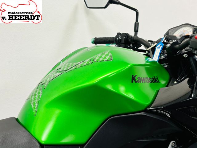 kawasaki - z-300-performance