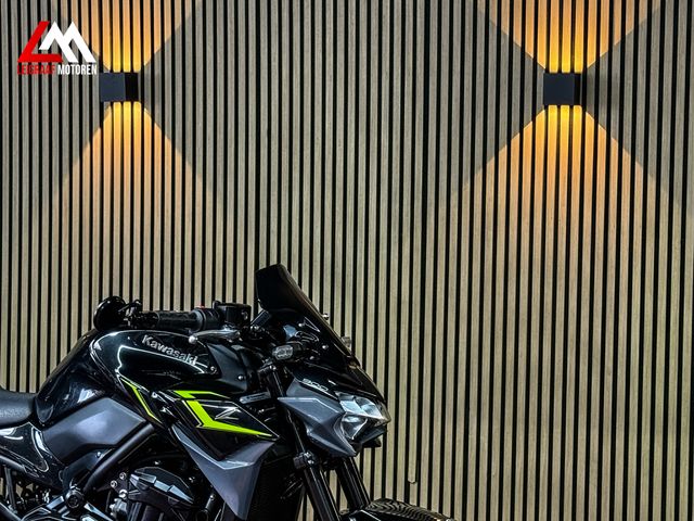 kawasaki - z900-performance