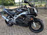 HONDA CBR 900 RR FIREBLADE