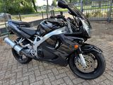 HONDA CBR 900 RR FIREBLADE