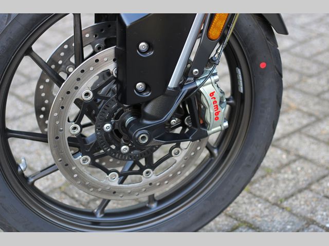 triumph - tiger-900-gt-pro