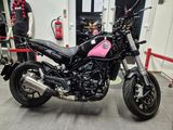 BENELLI LEONCINO 500