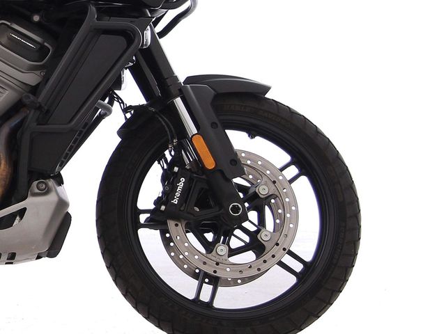 harley-davidson - pan-america--ra-1250-special