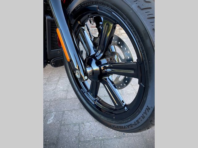 harley-davidson - street-bob-114-fxbbs