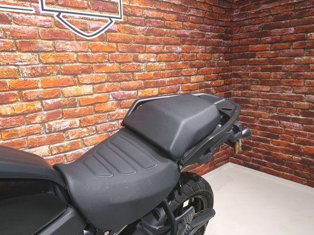 harley-davidson - pan-america