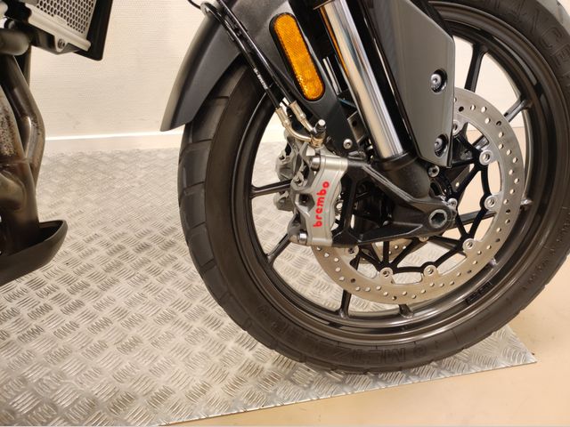 triumph - tiger-900-gt-pro