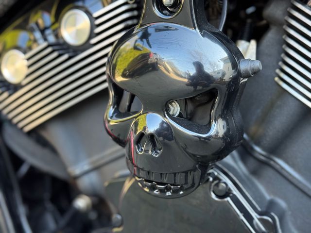 harley-davidson - night-rod-special-vrscdx