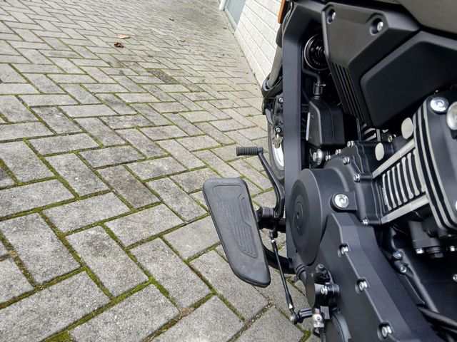 MORBIDELLI - c-1002-v