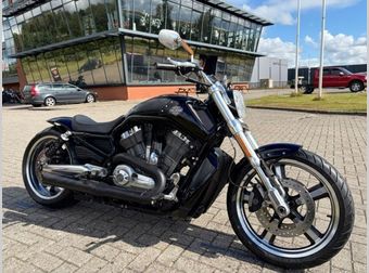Harley-Davidson V-ROD Muscle Vrscf 2009 occasion