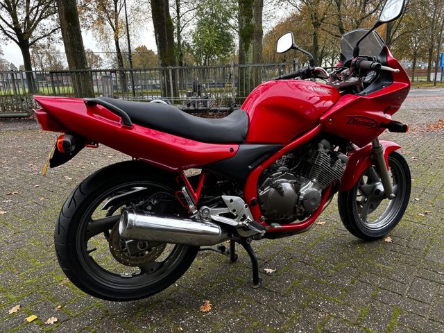 yamaha - xj-600-s---diversion