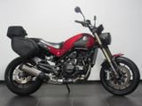 BENELLI LEONCINO 500