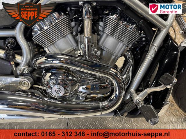 harley-davidson - v-rod-vrsca