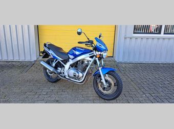 Suzuki GS 500 Chal 2002 occasion