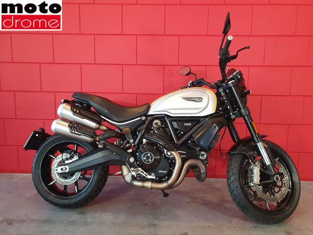 ducati - scrambler-1100-pro
