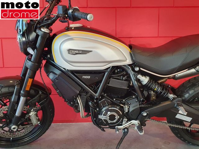 ducati - scrambler-1100-pro